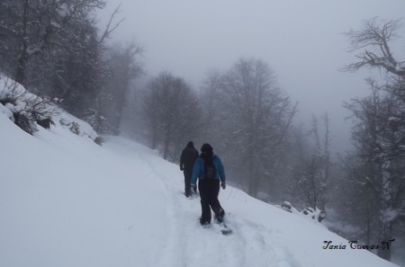 Trekking con Raquetas Cerro Otto