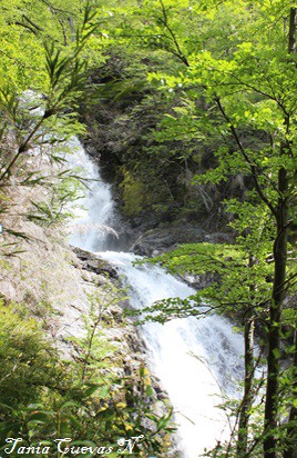 Cascada Laguna Negra 